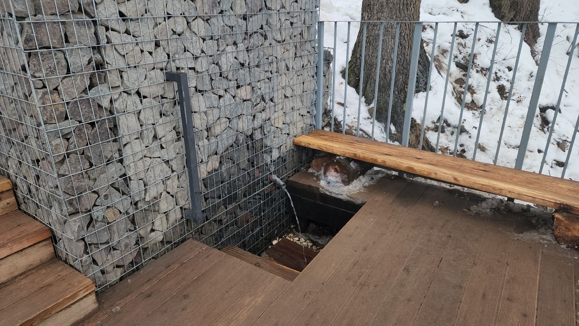 кучинский лесопарк, балашиха, благоустройство,