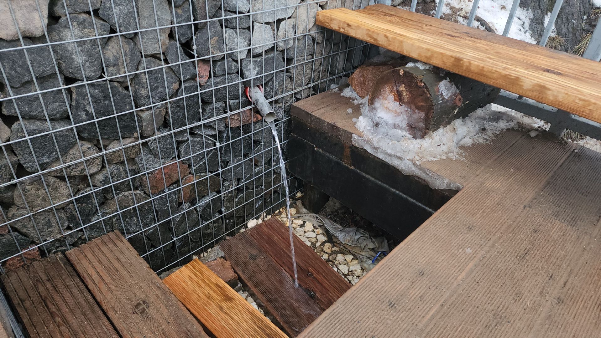 кучинский лесопарк, балашиха, благоустройство,