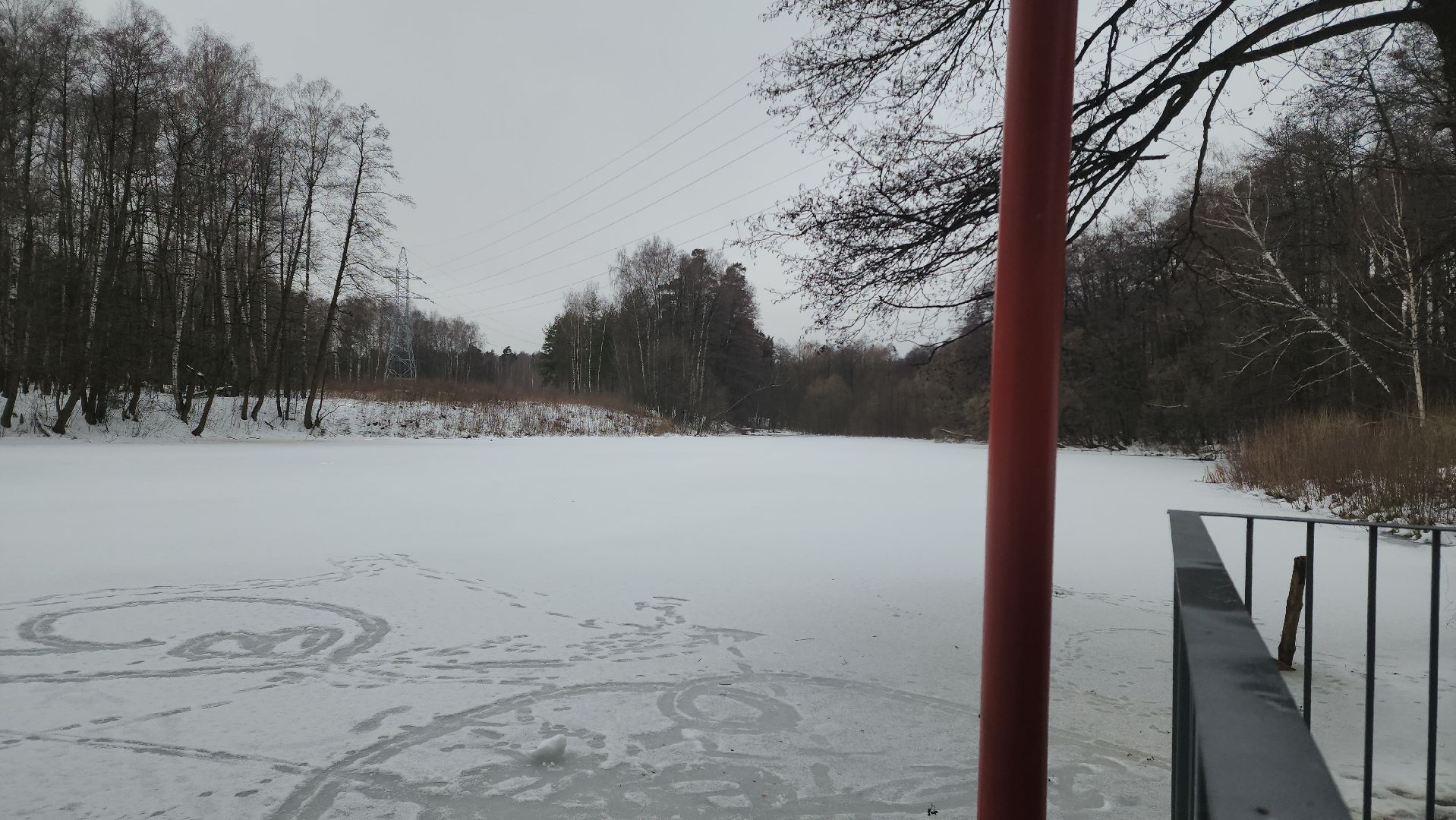 кучинский лесопарк, балашиха, благоустройство,