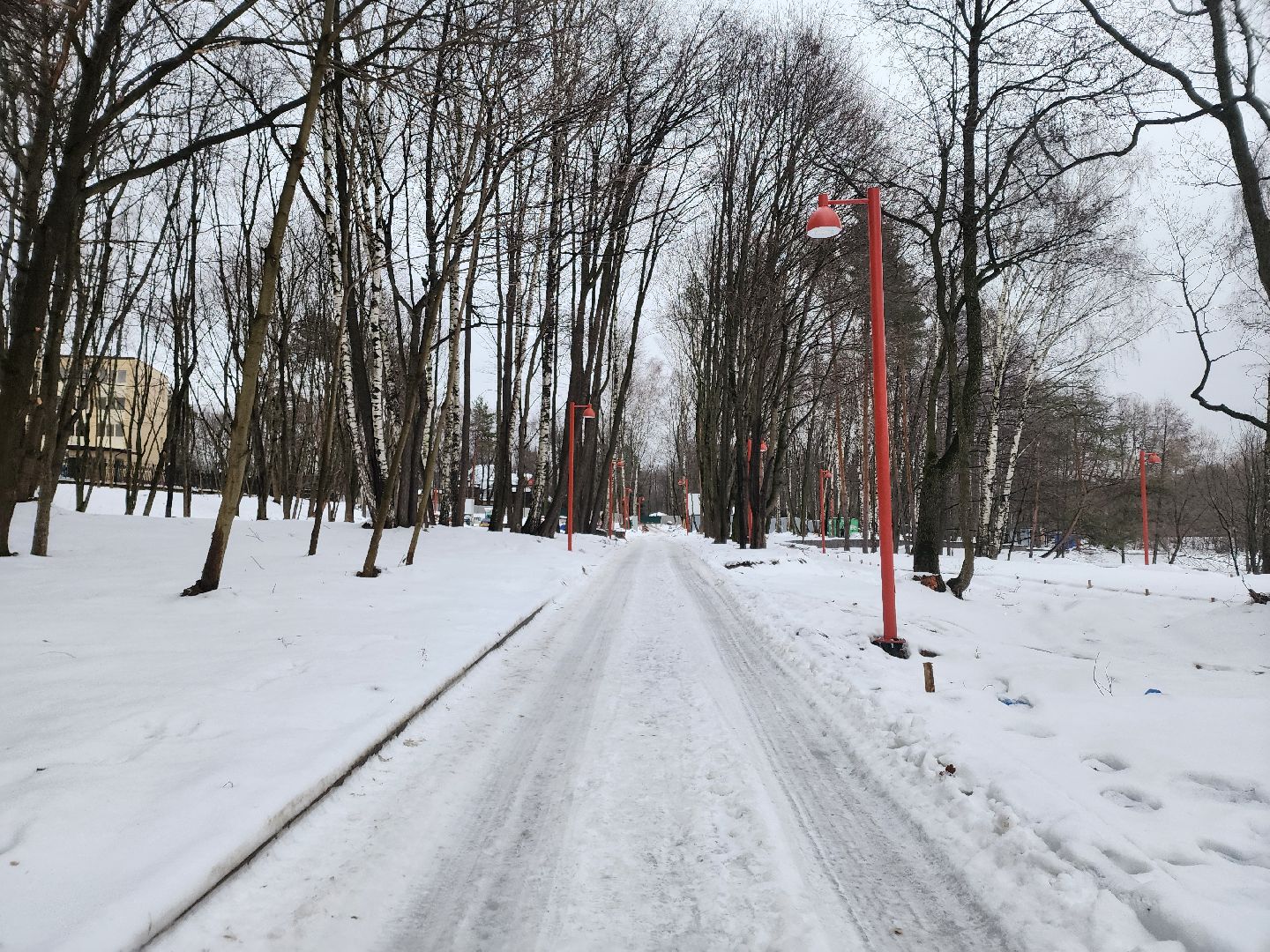 кучинский лесопарк, балашиха, благоустройство,
