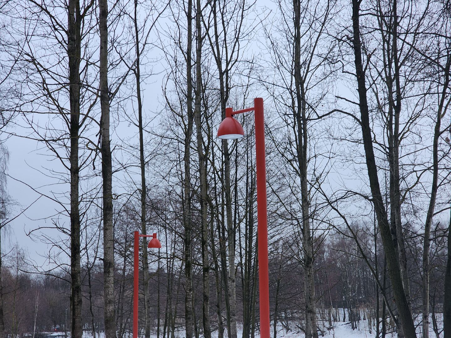 кучинский лесопарк, балашиха, благоустройство,