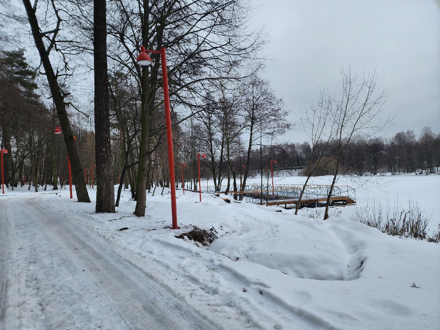 кучинский лесопарк, балашиха, благоустройство,