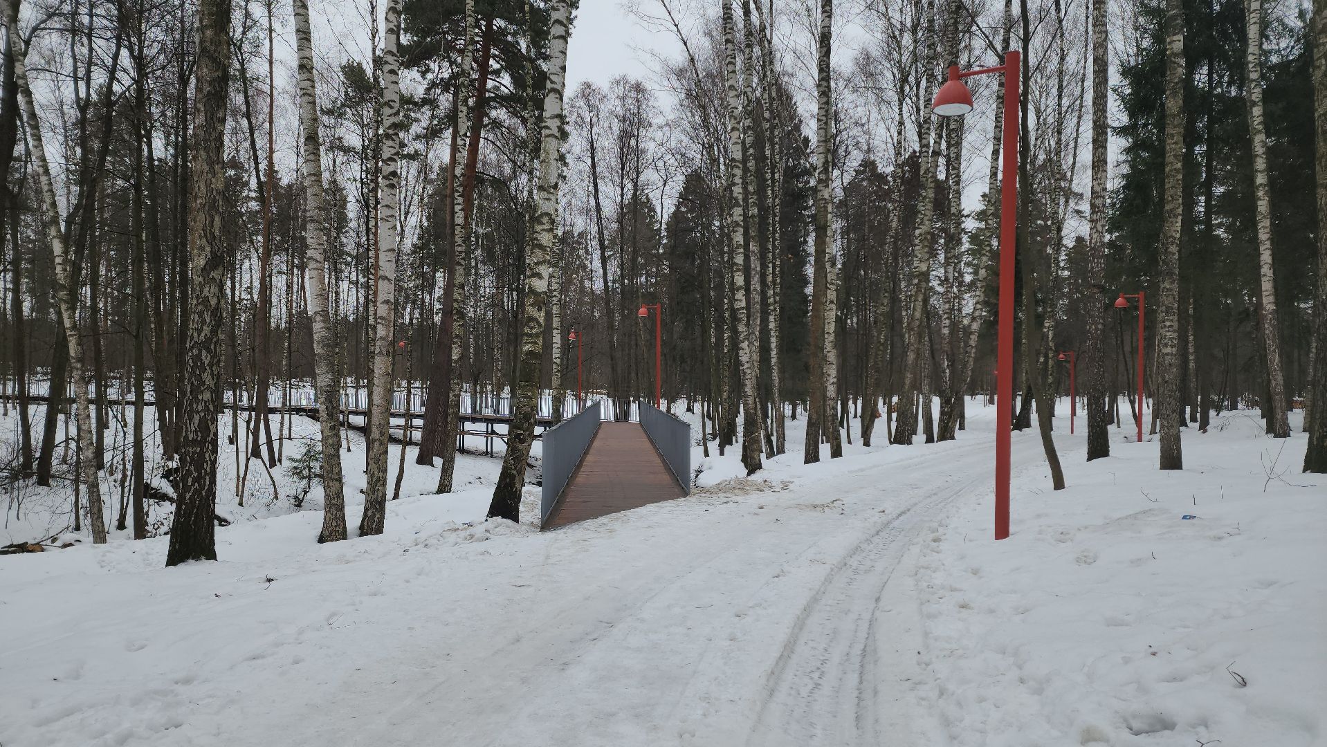 кучинский лесопарк, балашиха, благоустройство,