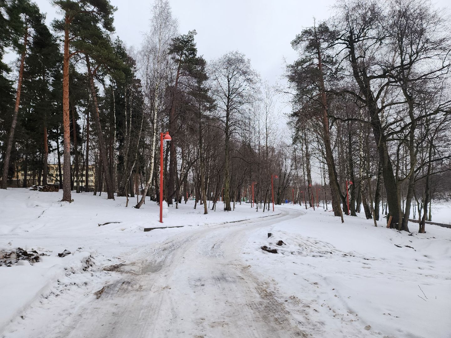 кучинский лесопарк, балашиха, благоустройство,