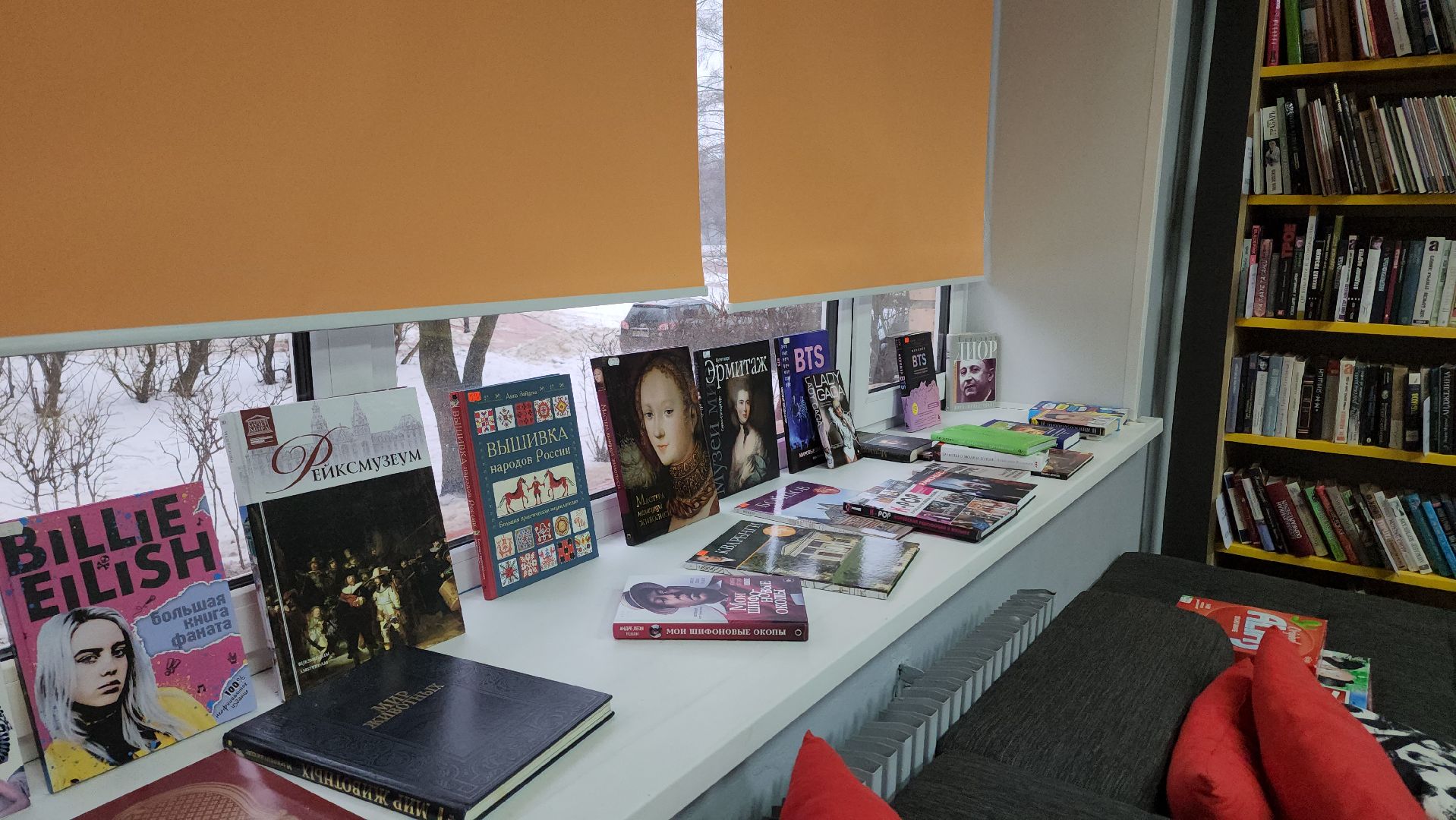 библиотека, книги, балашиха,