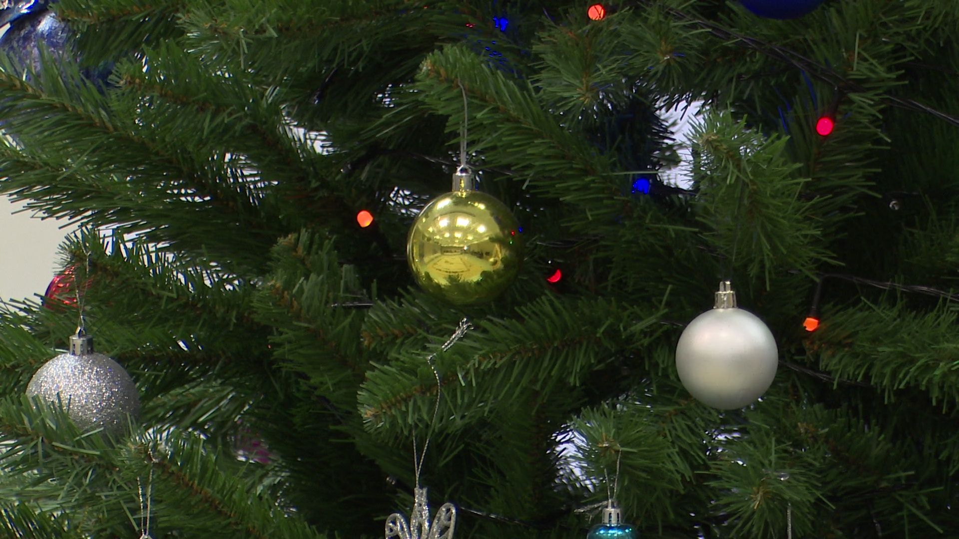 Реутов, вертикалки, сад, духовно-нравственное воспитание, образование, церковь,