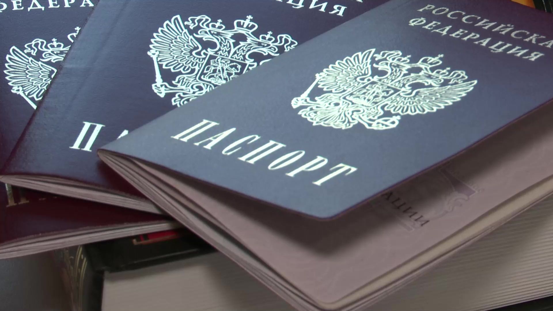 Реутов, вертикалки, паспорта, первый документ, история государства российского, активные школьники,