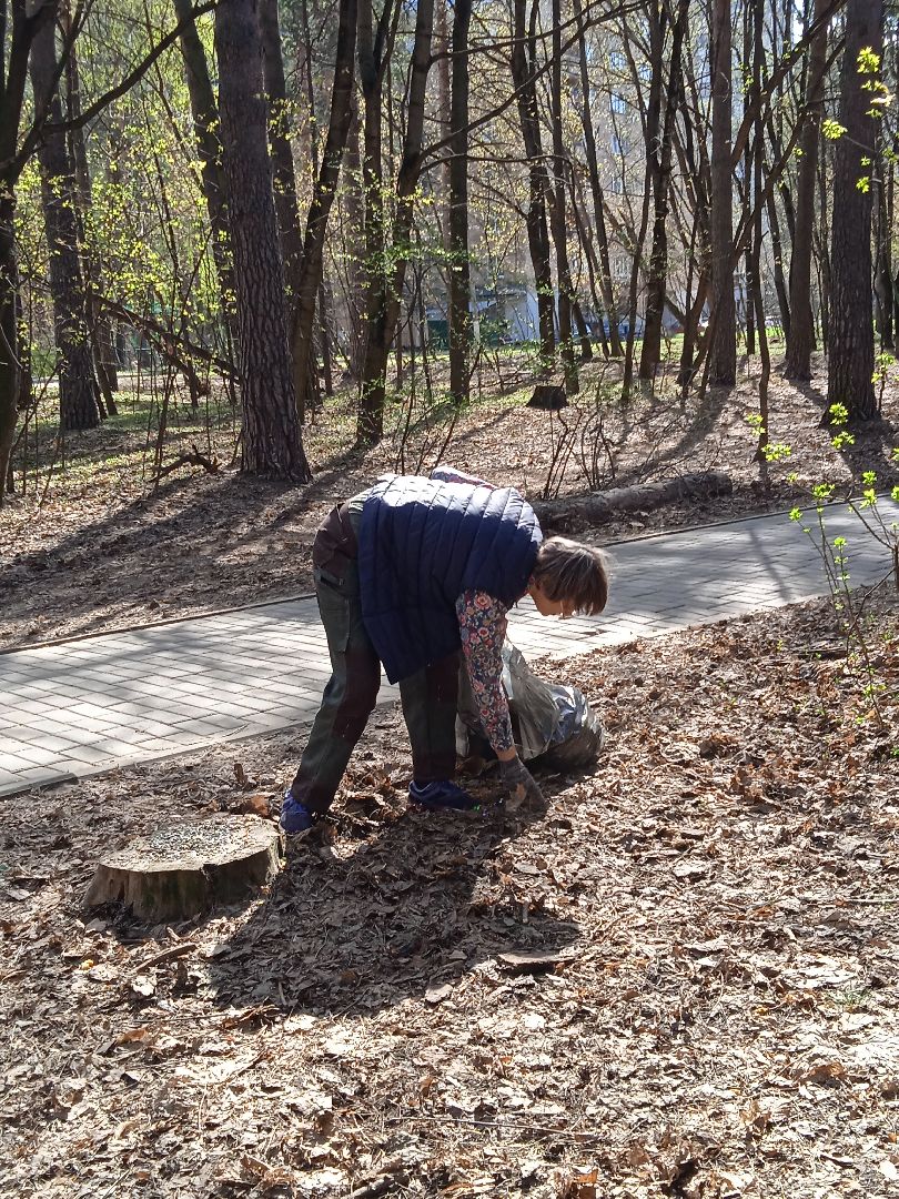 субботник, глава, города, Прохоров, Треугольный, лес