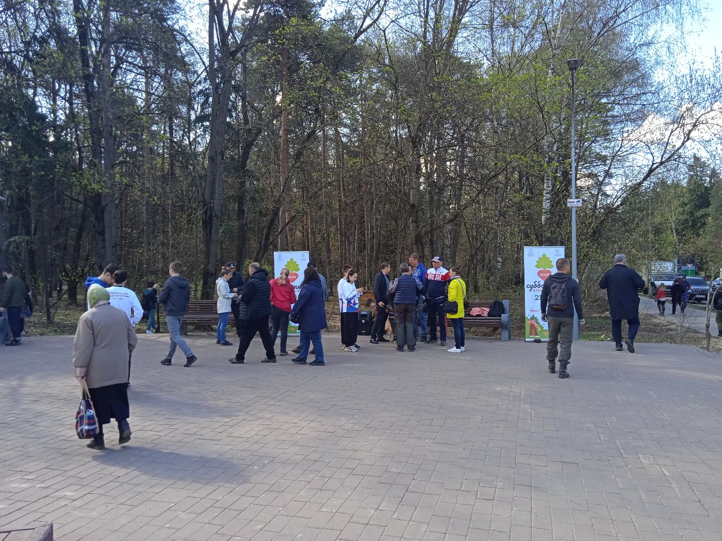 субботник, глава, города, Прохоров, Треугольный, лес