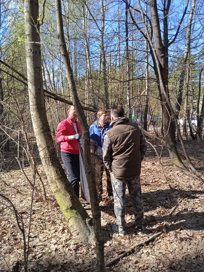 субботник, глава, города, Прохоров, Треугольный, лес