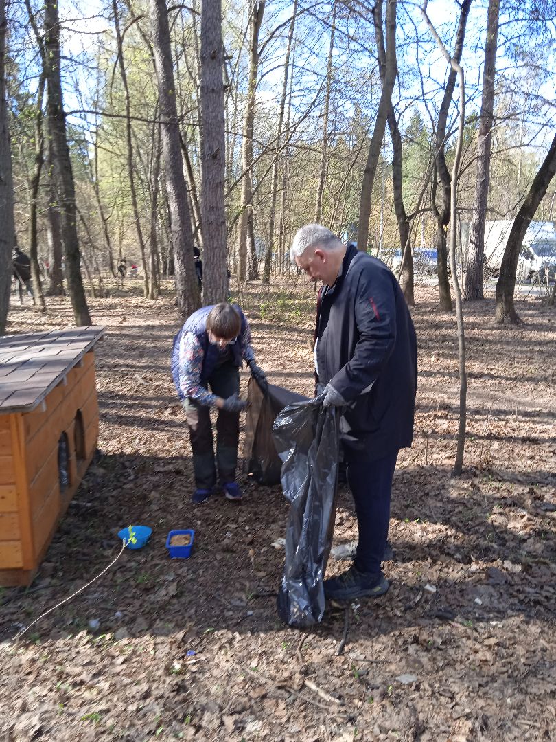 субботник, глава, города, Прохоров, Треугольный, лес