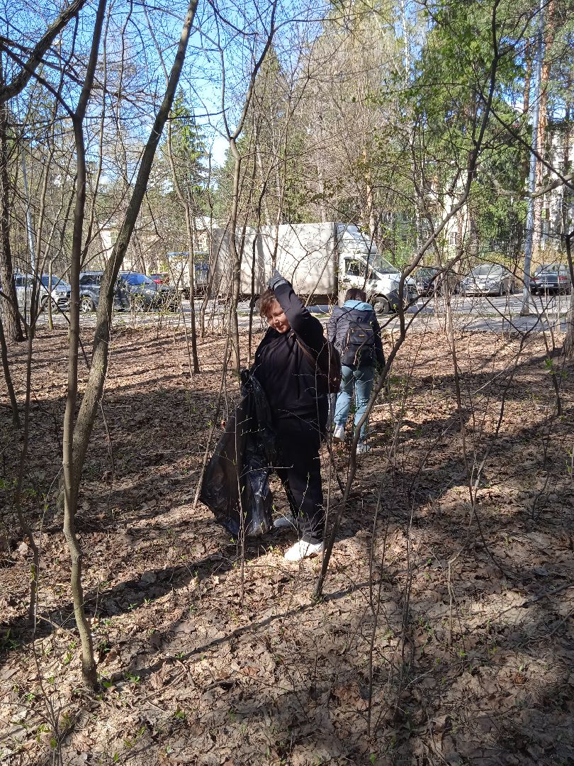 субботник, глава, города, Прохоров, Треугольный, лес