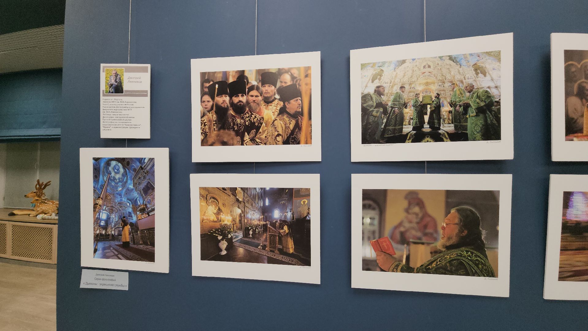 вертикалки, ивантеевка, пушкинский, фотовыставка, фотографии, центральная городская библиотека,