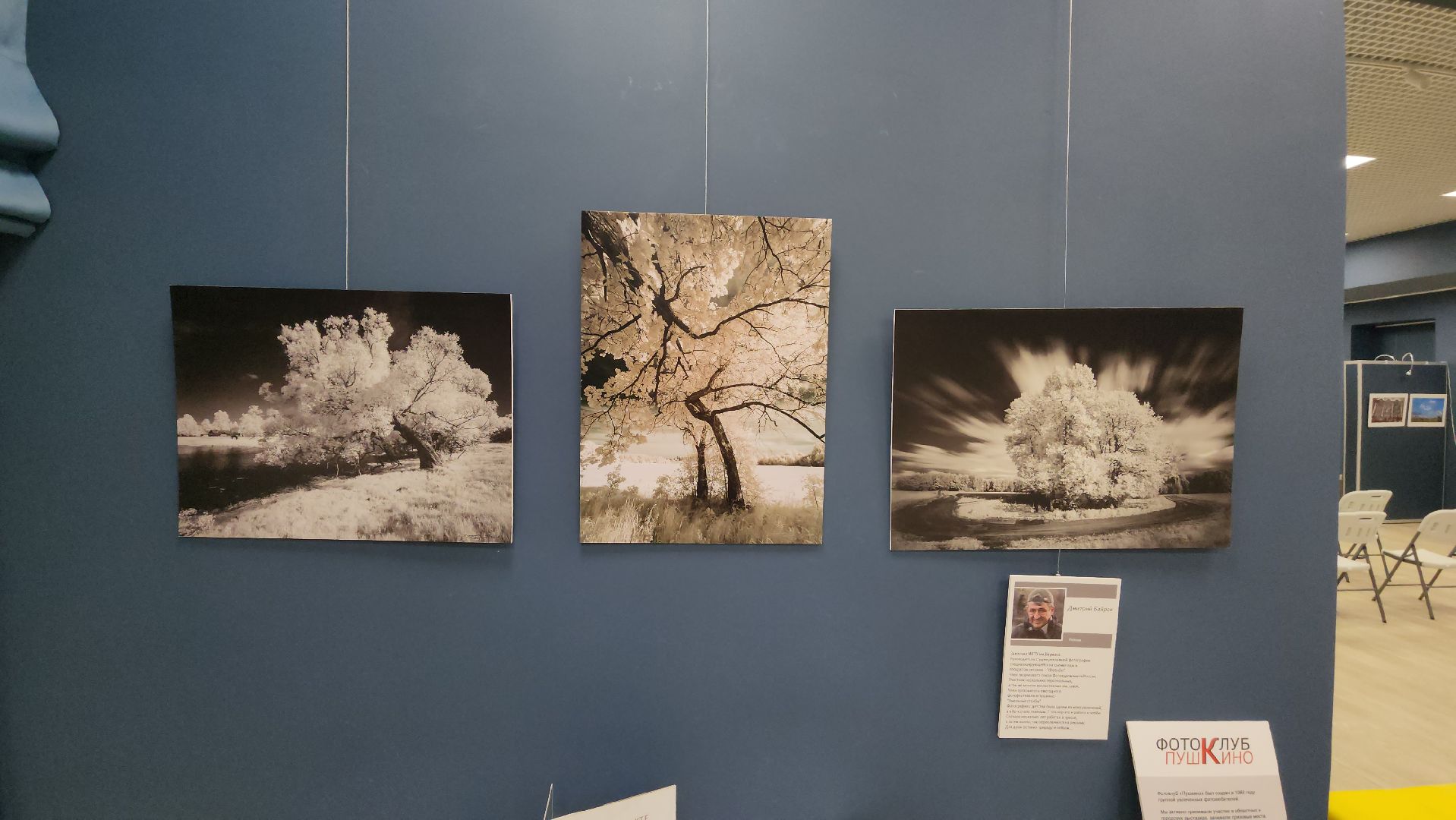 вертикалки, ивантеевка, пушкинский, фотовыставка, фотографии, центральная городская библиотека,