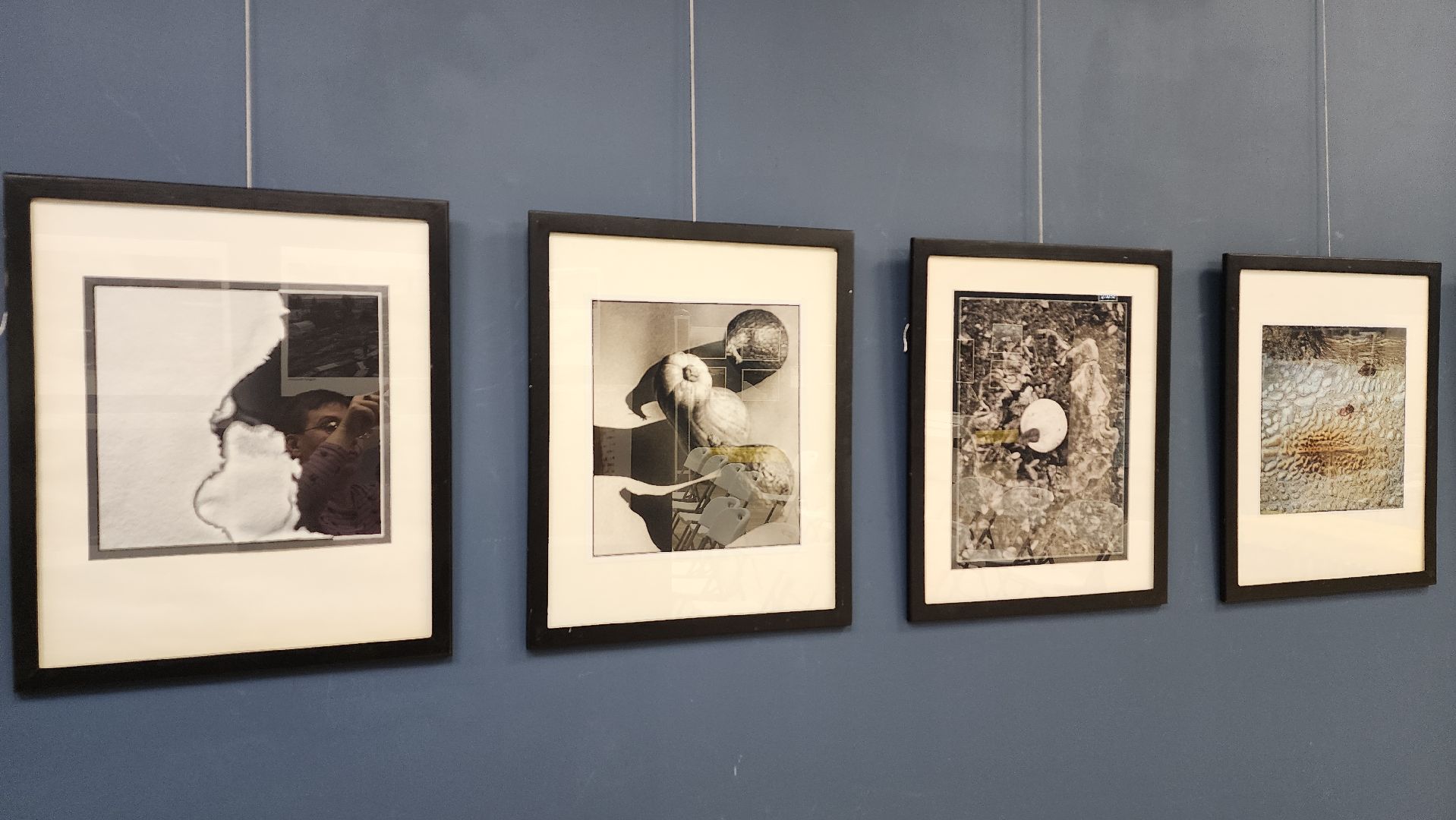 вертикалки, ивантеевка, пушкинский, фотовыставка, фотографии, центральная городская библиотека,