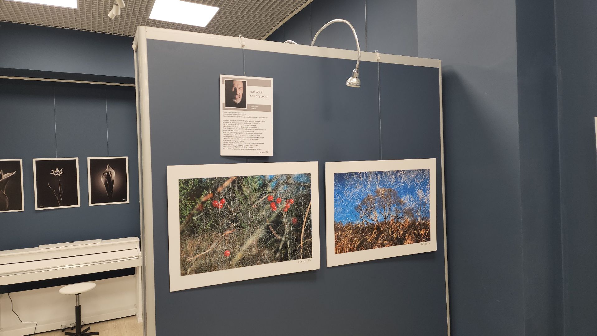 вертикалки, ивантеевка, пушкинский, фотовыставка, фотографии, центральная городская библиотека,