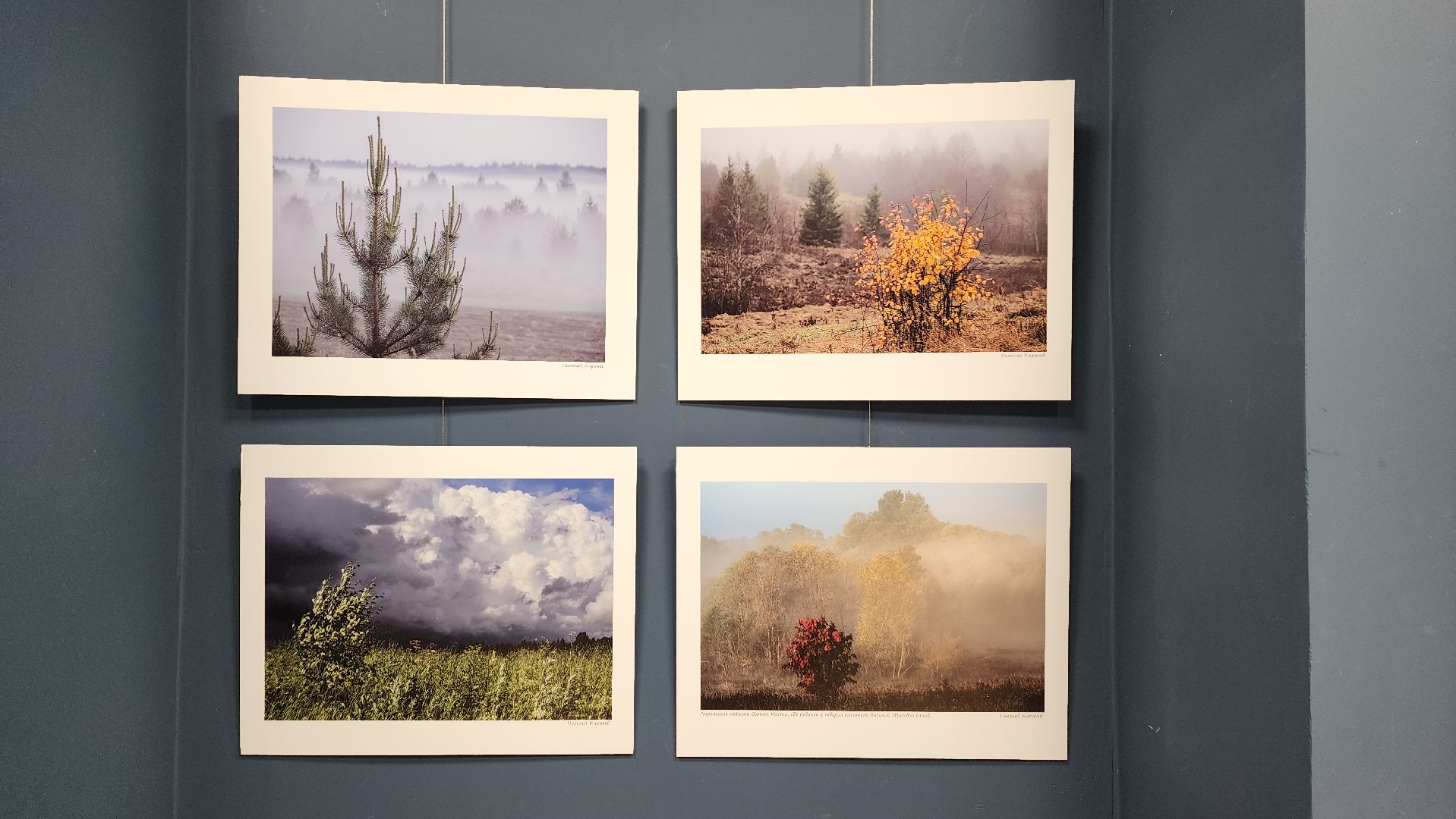 вертикалки, ивантеевка, пушкинский, фотовыставка, фотографии, центральная городская библиотека,