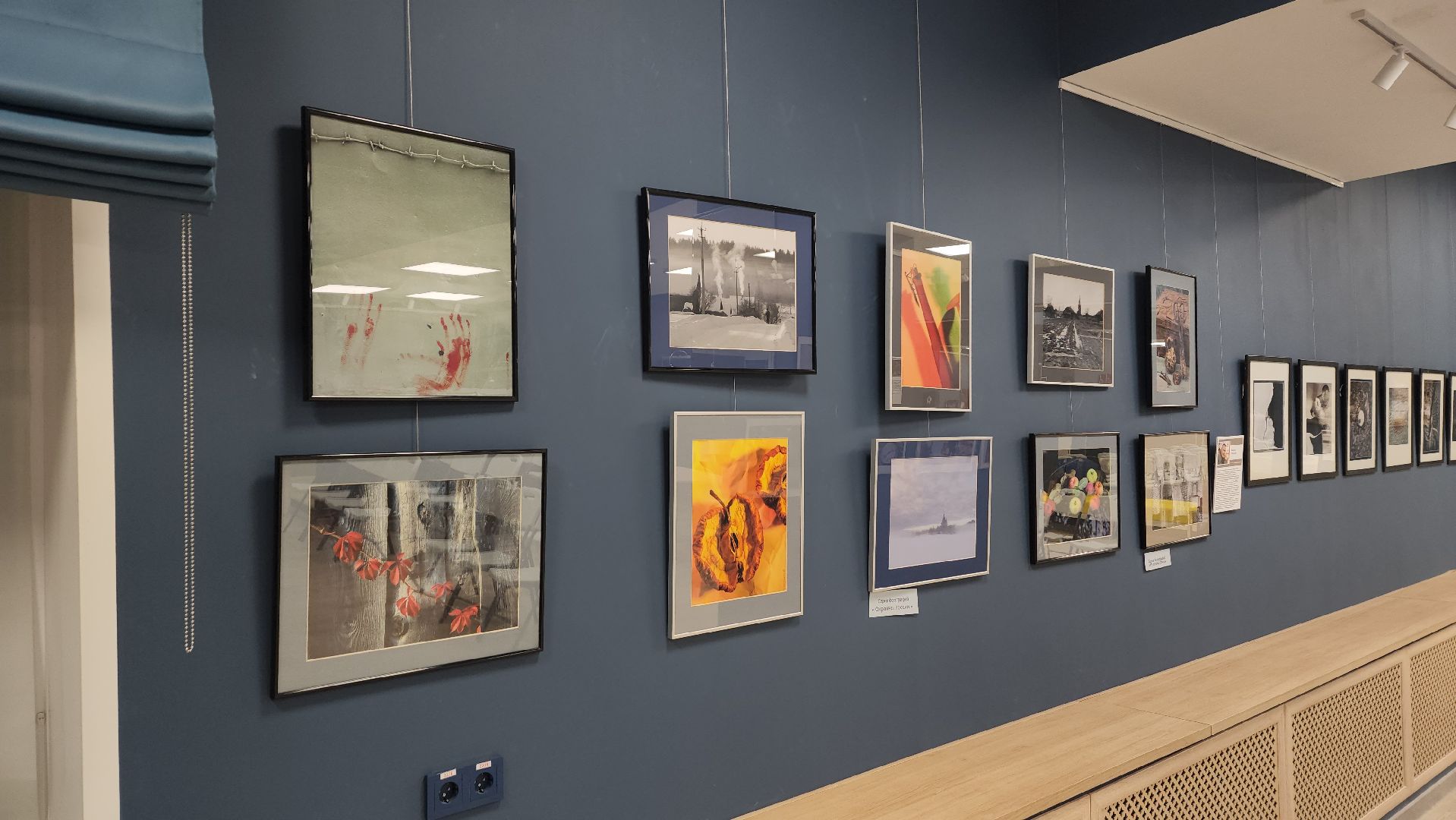 вертикалки, ивантеевка, пушкинский, фотовыставка, фотографии, центральная городская библиотека,