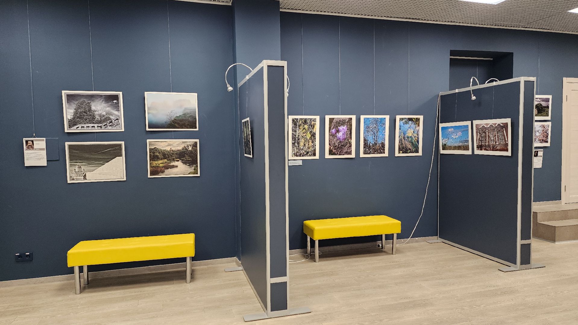 вертикалки, ивантеевка, пушкинский, фотовыставка, фотографии, центральная городская библиотека,