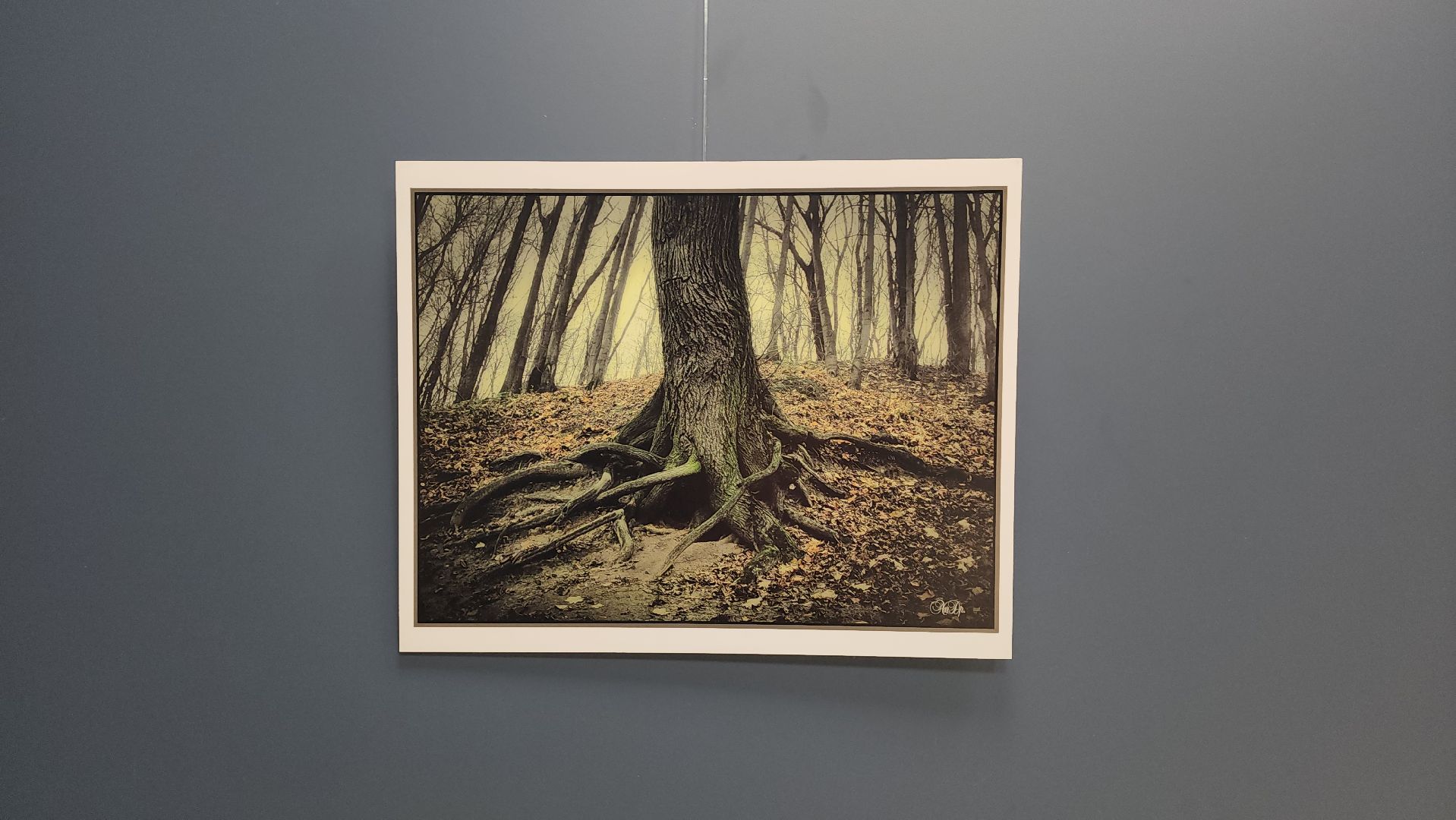 вертикалки, ивантеевка, пушкинский, фотовыставка, фотографии, центральная городская библиотека,