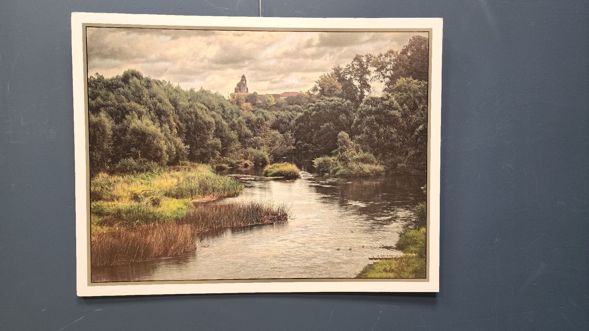 вертикалки, ивантеевка, пушкинский, фотовыставка, фотографии, центральная городская библиотека,