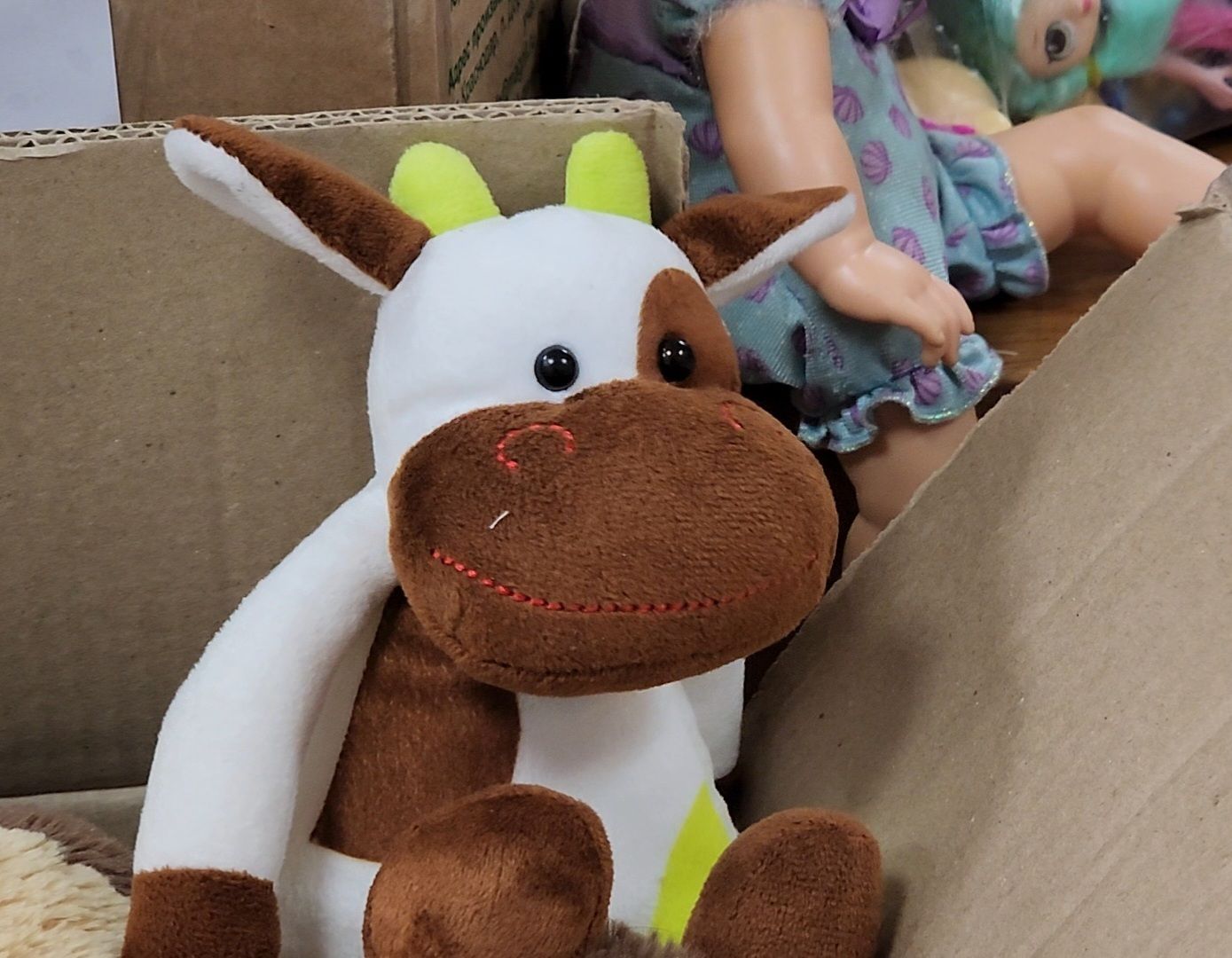 Дубна, коробка храбрости, дети, школьники, школа, благотворительность, благотворительная акция, вертикалки,