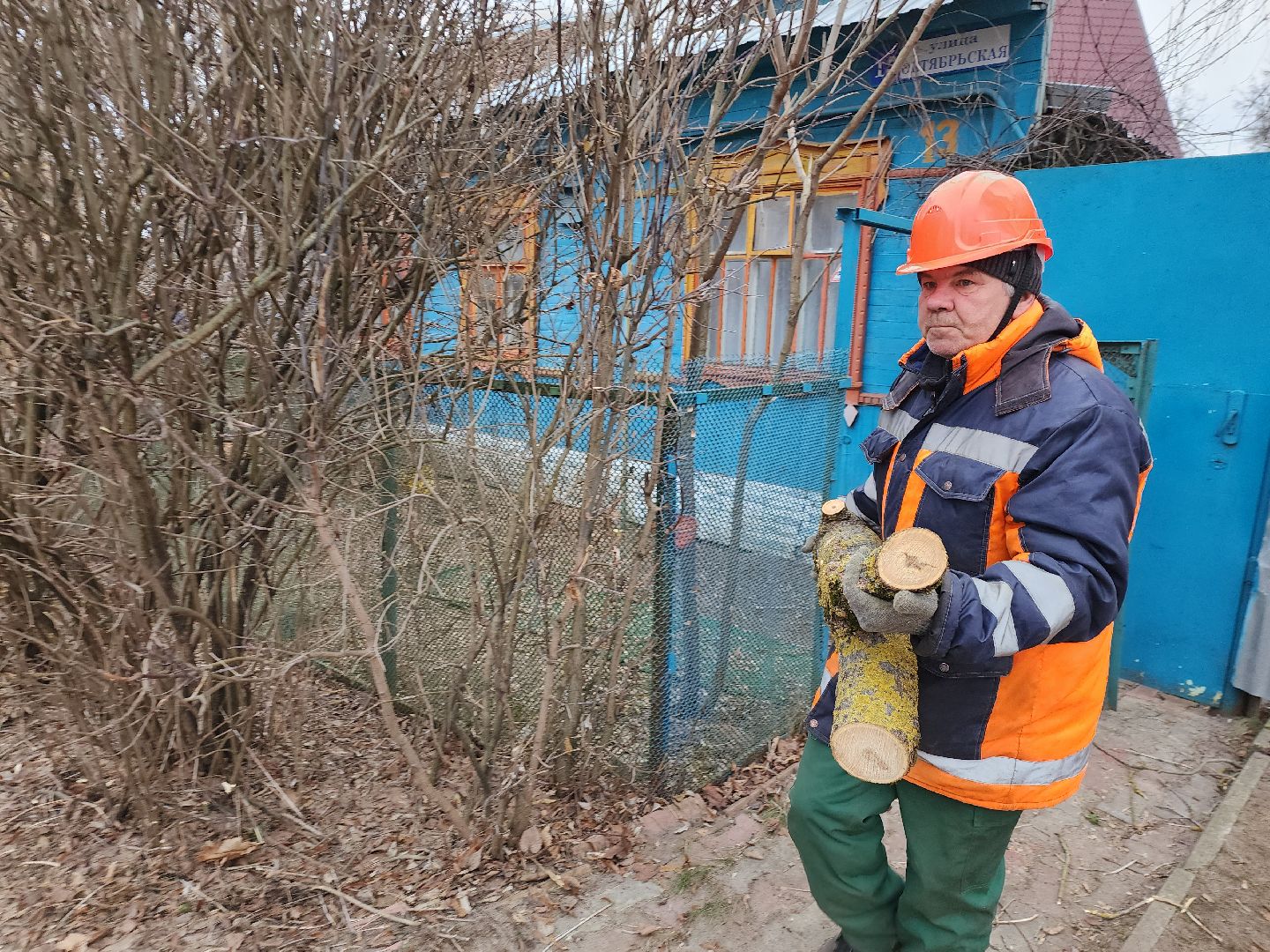 серпухов, подмосковье, спилили деревья, вертикалки,
