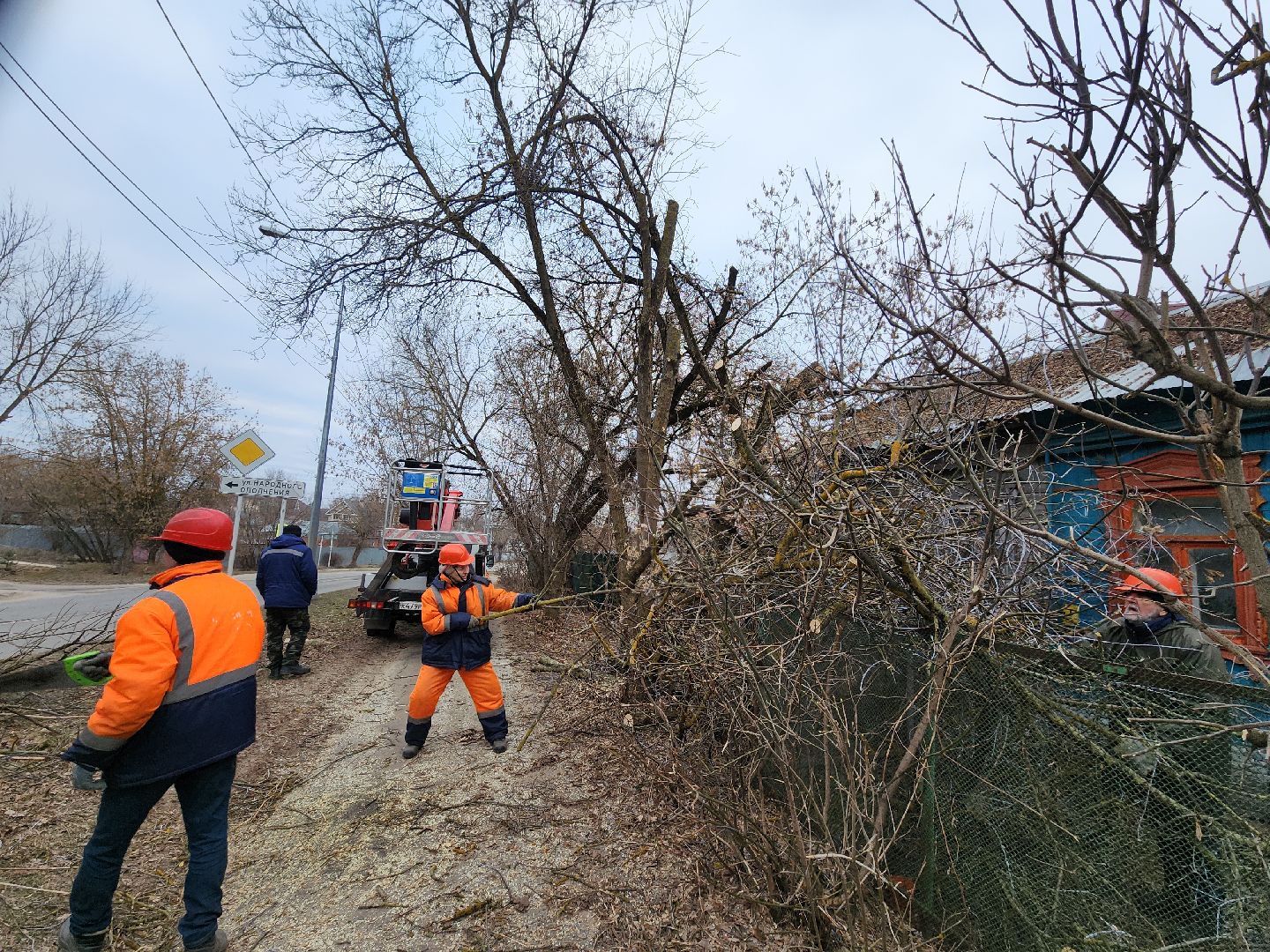 серпухов, подмосковье, спилили деревья, вертикалки,