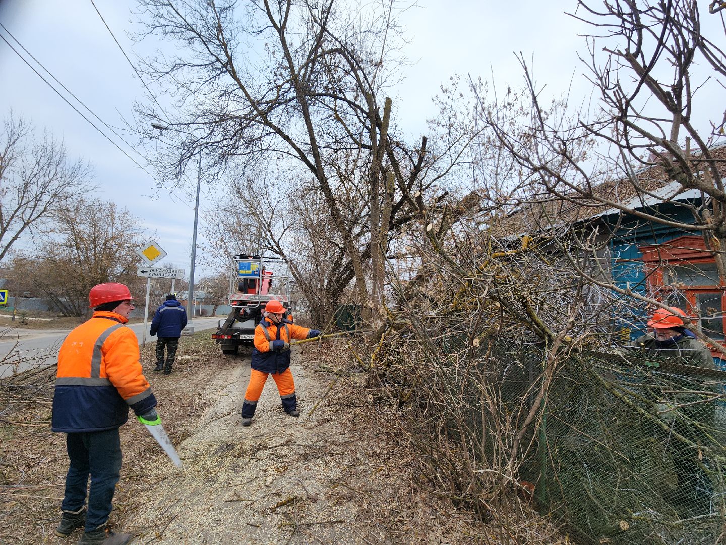 серпухов, подмосковье, спилили деревья, вертикалки,