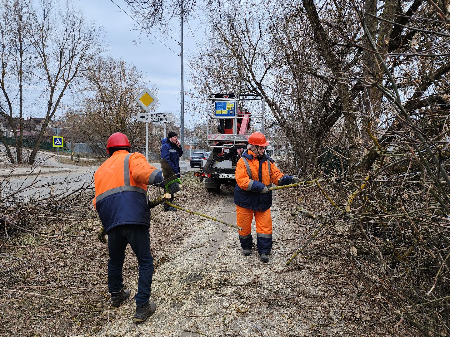серпухов, подмосковье, спилили деревья, вертикалки,