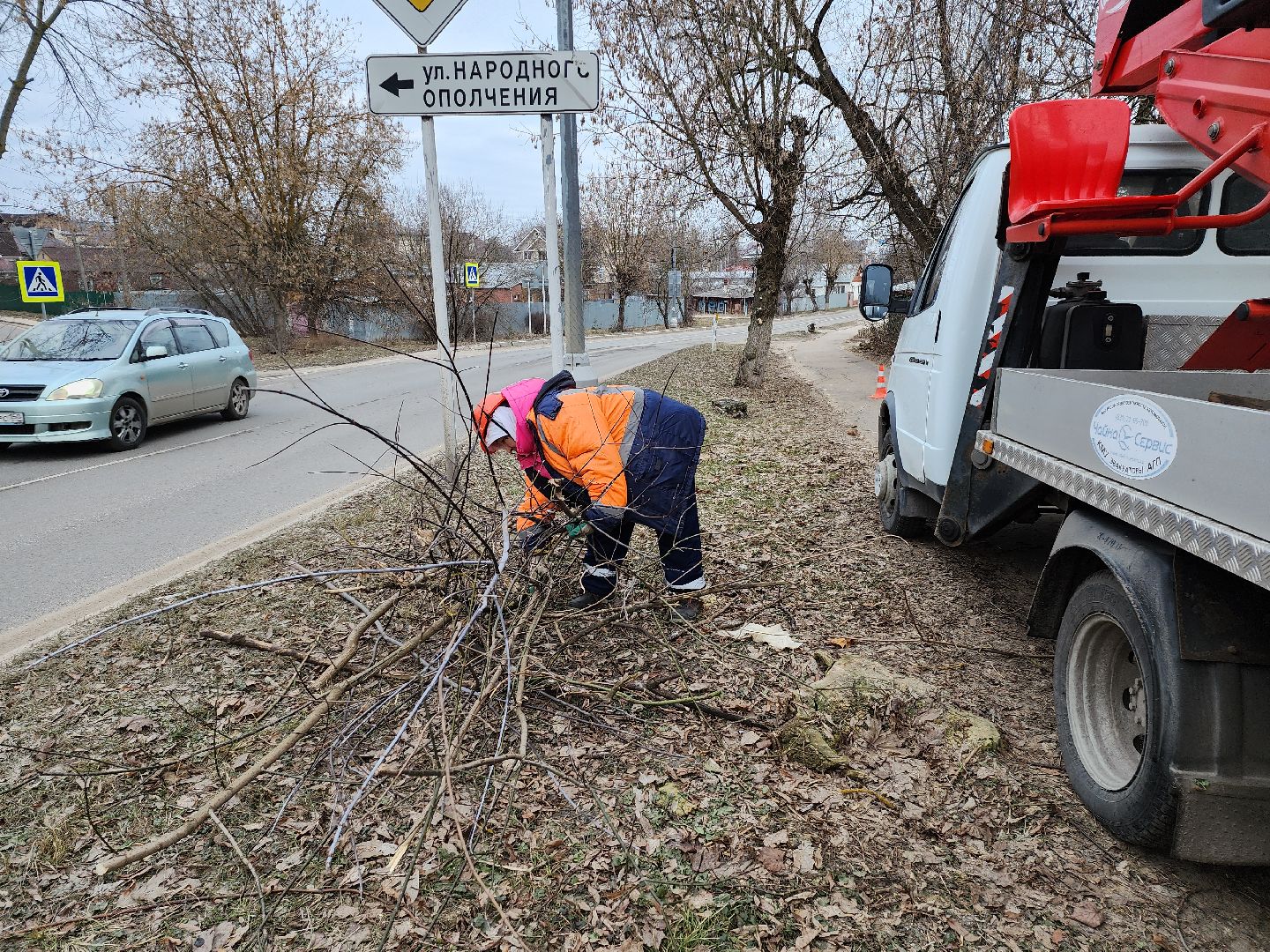 серпухов, подмосковье, спилили деревья, вертикалки,