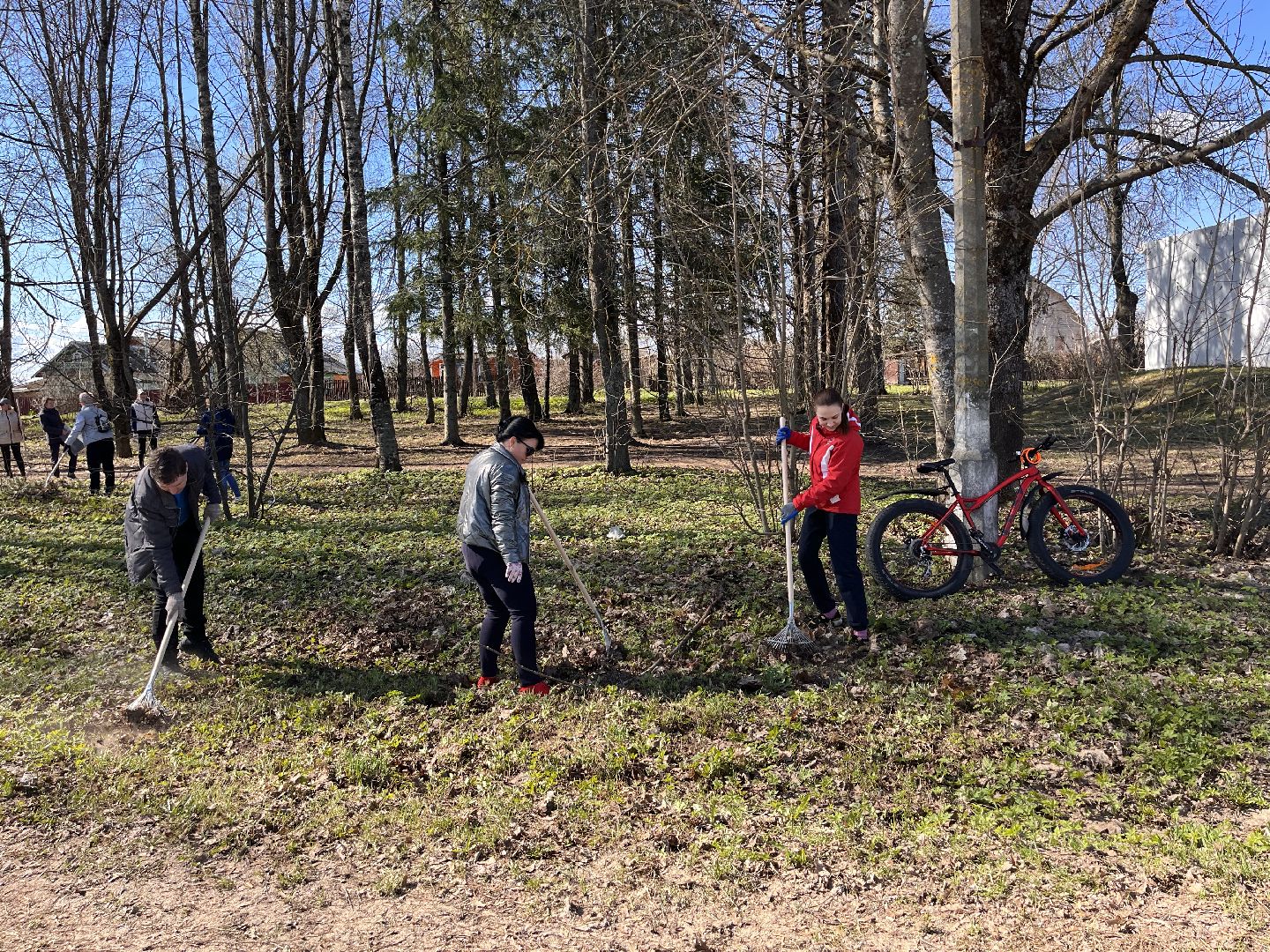 Шаховская, субботник, Судислово