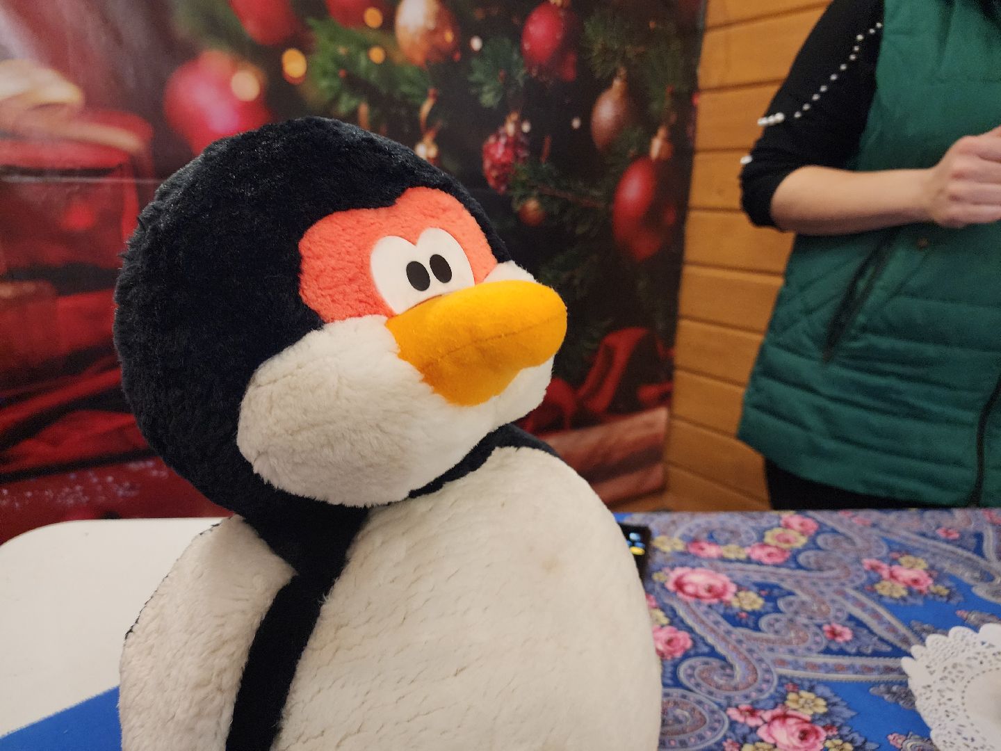 Павловский Посад, Парк, образование, школьники, вертикалки