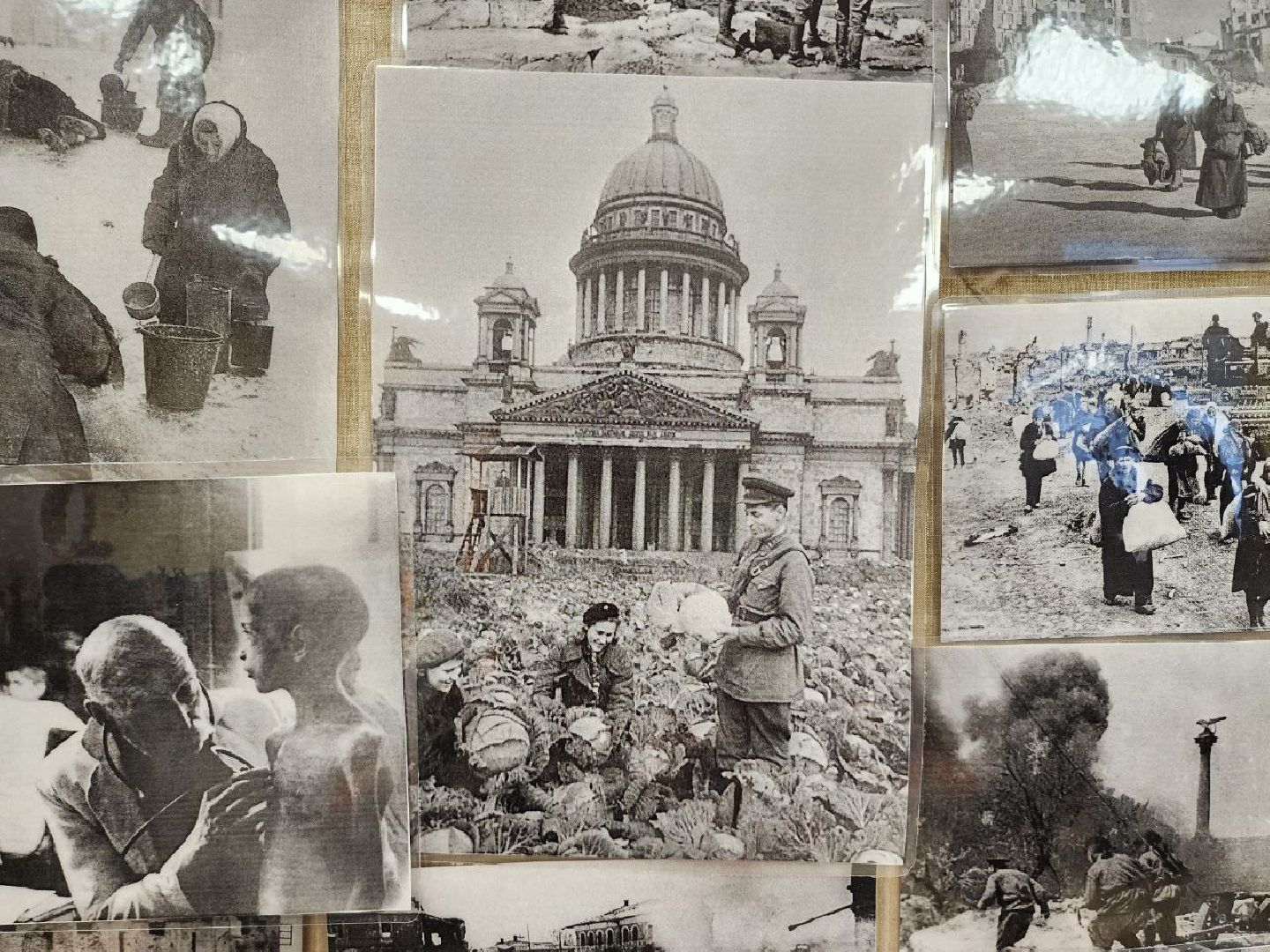 Солнечногорск, блокадный хлеб, тематические площадки, Жители, Вертикалки,