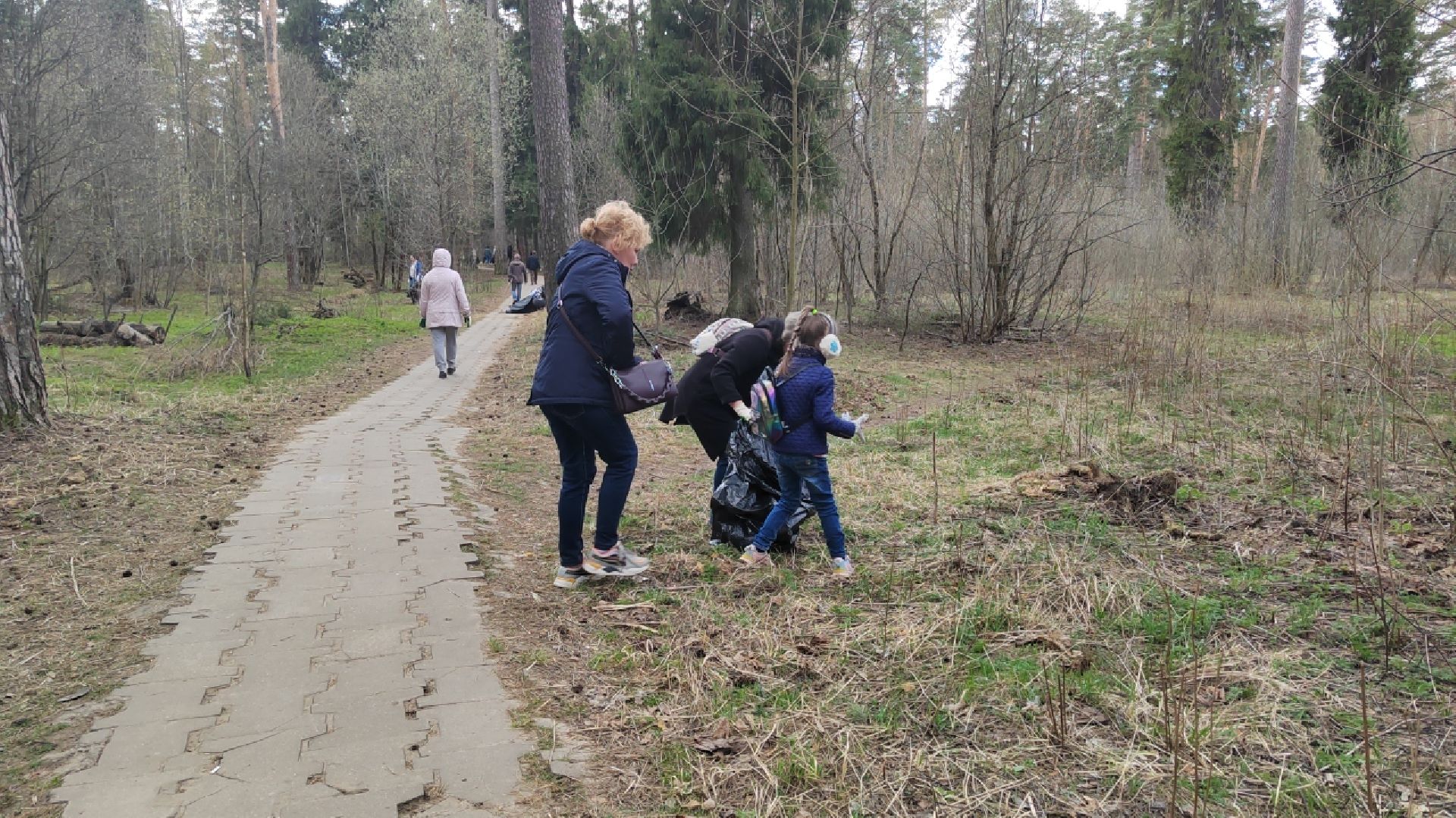 Пушкинский округ, субботник, Красноармейск, Всероссийский субботник