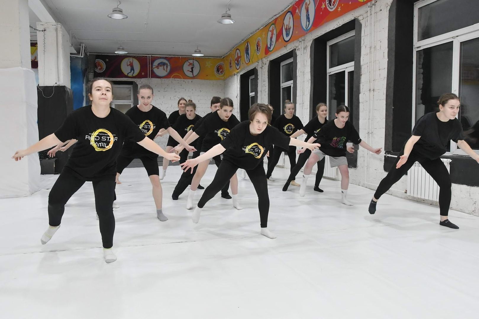 недвижимость за 1 рубль, академия спорта и творчества, Власиха Красная звезда, спорт во Власихе, губернаторская программа, вертикалки