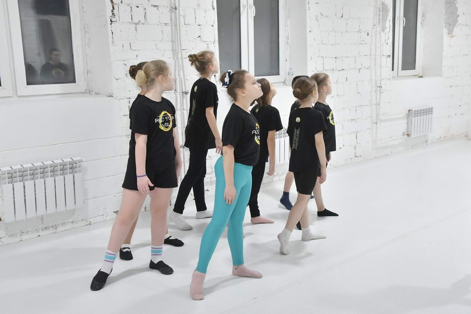 недвижимость за 1 рубль, академия спорта и творчества, Власиха Красная звезда, спорт во Власихе, губернаторская программа, вертикалки