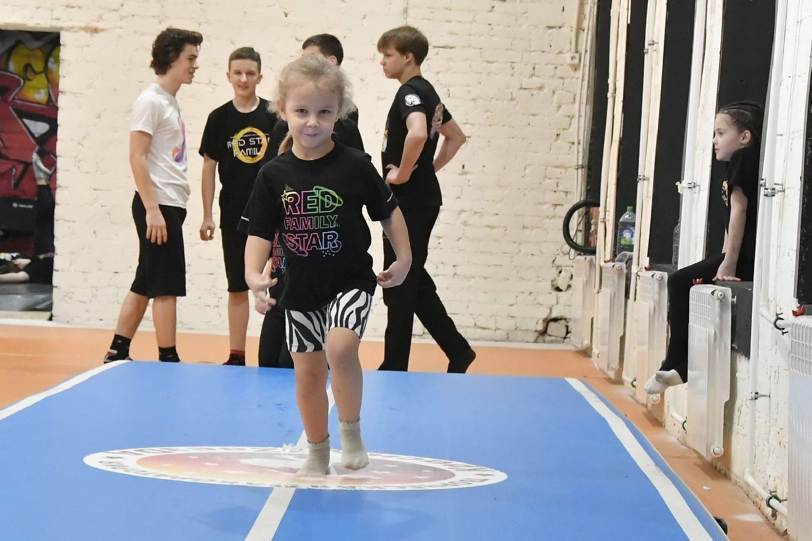 недвижимость за 1 рубль, академия спорта и творчества, Власиха Красная звезда, спорт во Власихе, губернаторская программа, вертикалки