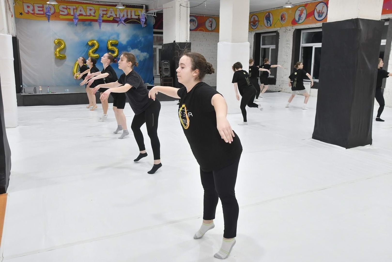 недвижимость за 1 рубль, академия спорта и творчества, Власиха Красная звезда, спорт во Власихе, губернаторская программа, вертикалки