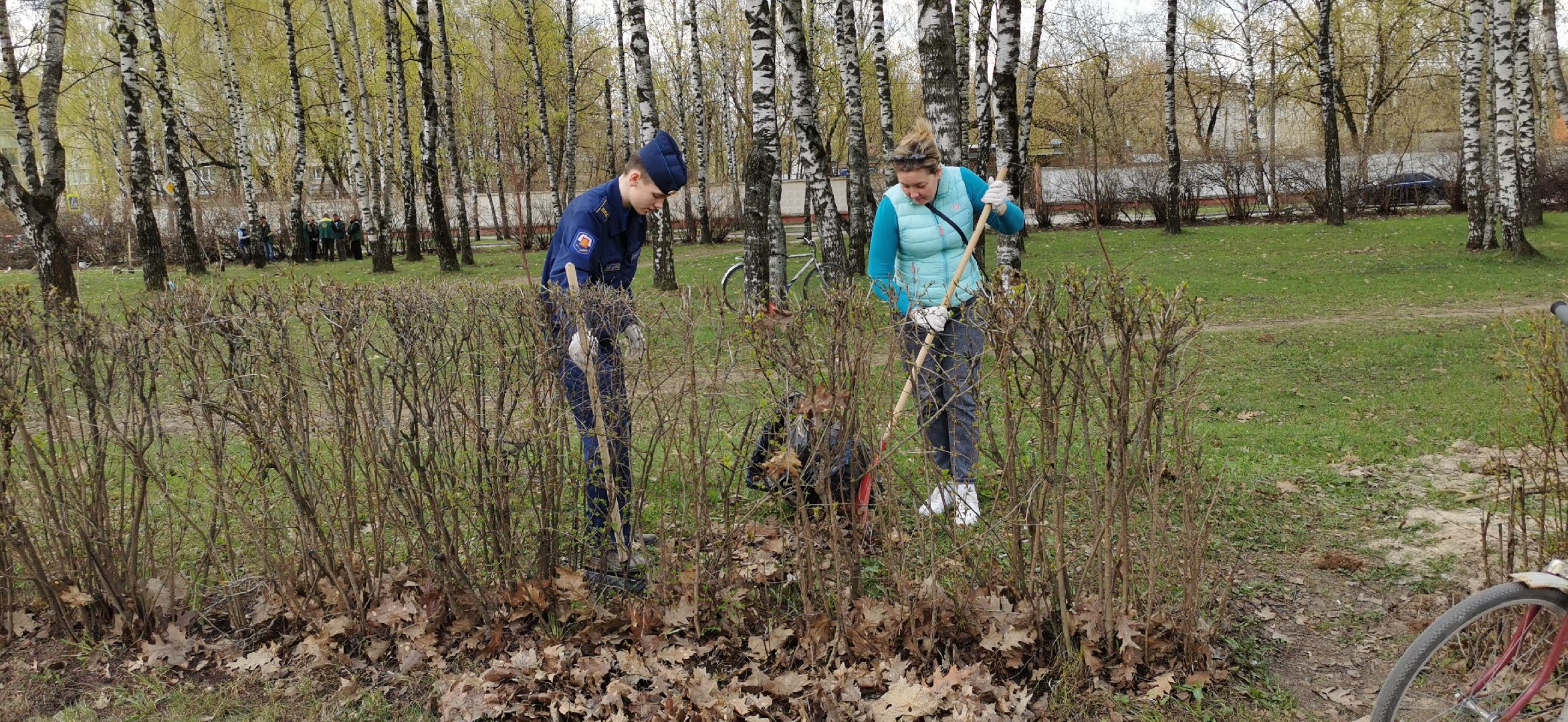 благоустройство, субботник,
