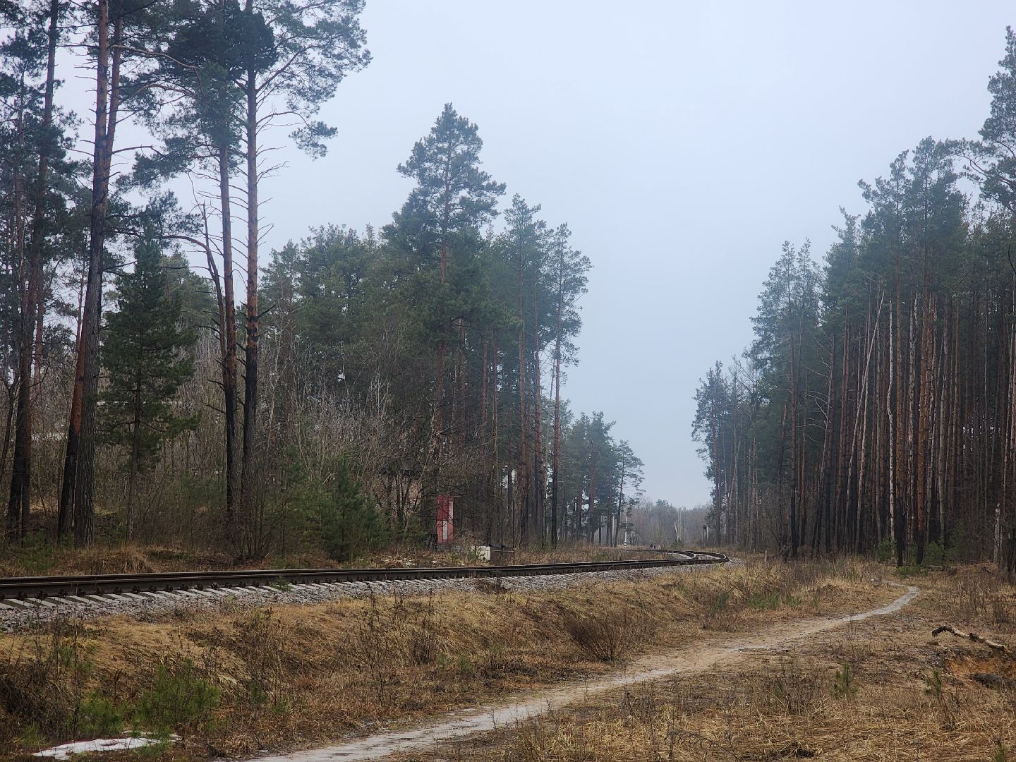 Коломна, благоустройство, лесопарк,