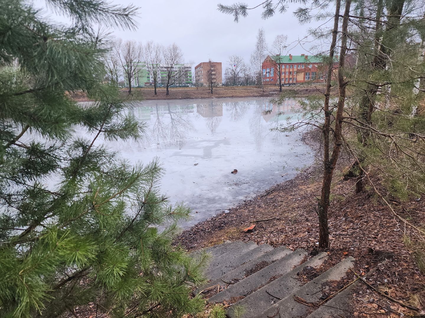 Коломна, благоустройство, лесопарк,