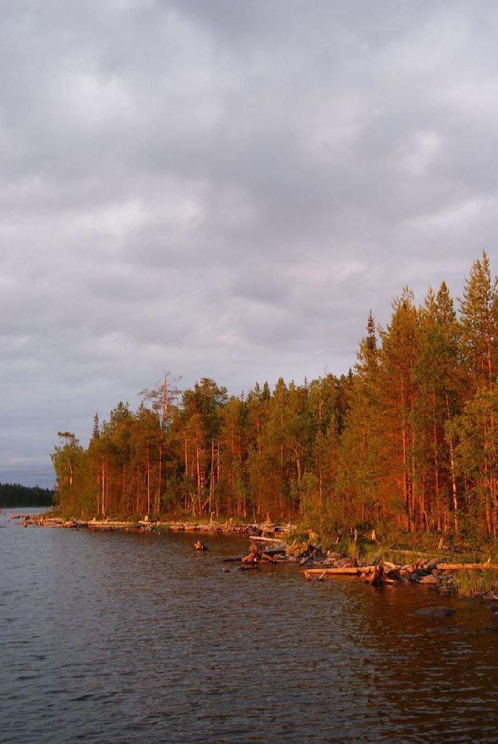 фотография, конкурс, диплом, храм, студентка, колледж,