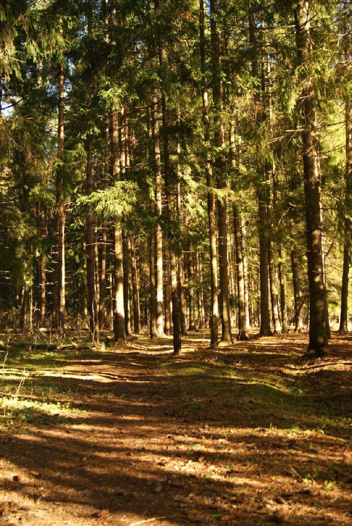 фотография, конкурс, диплом, храм, студентка, колледж,