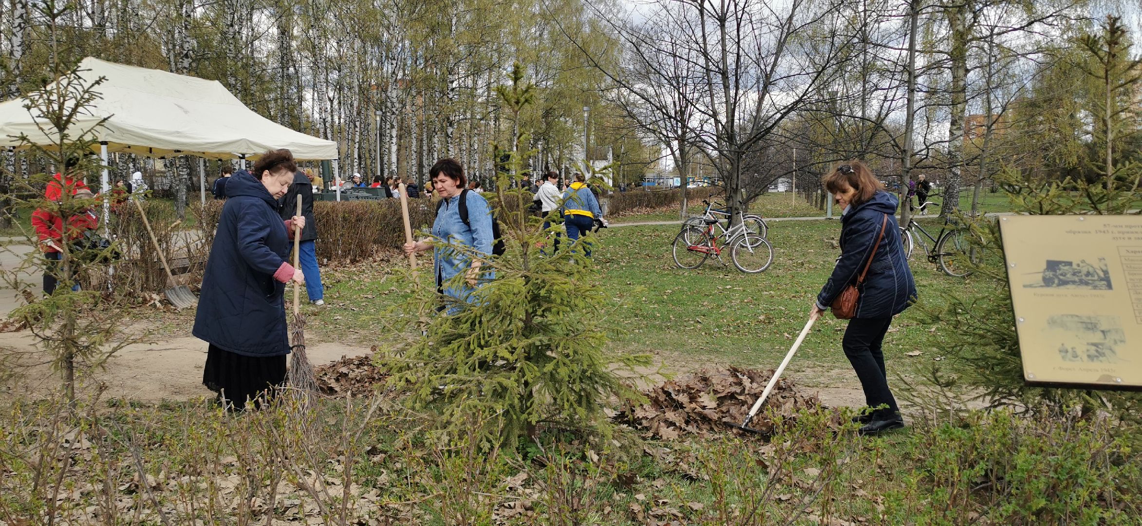 субботник, благоустройство,