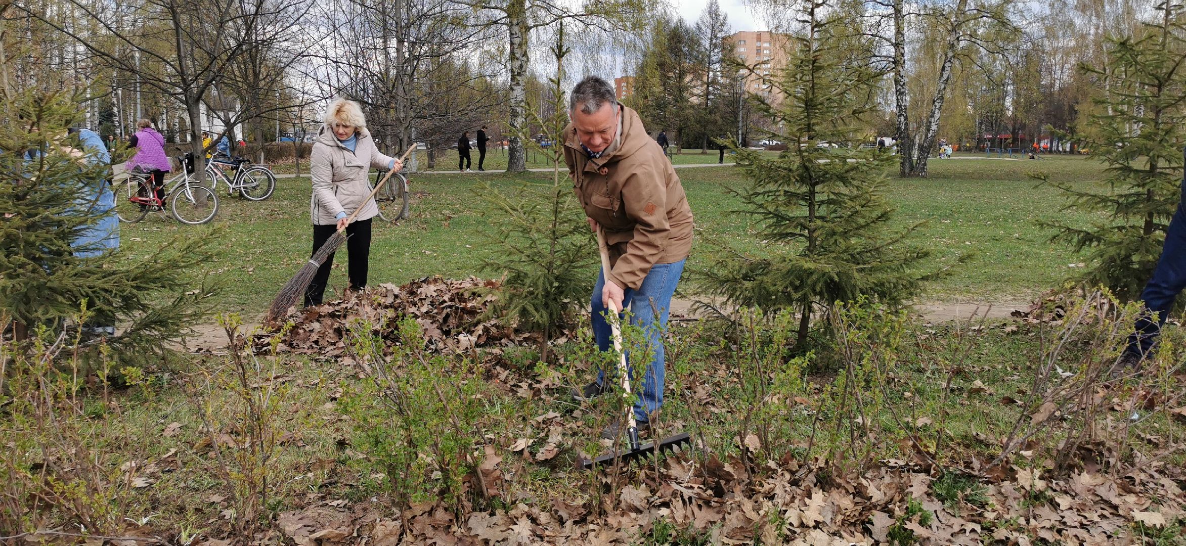 субботник, благоустройство,