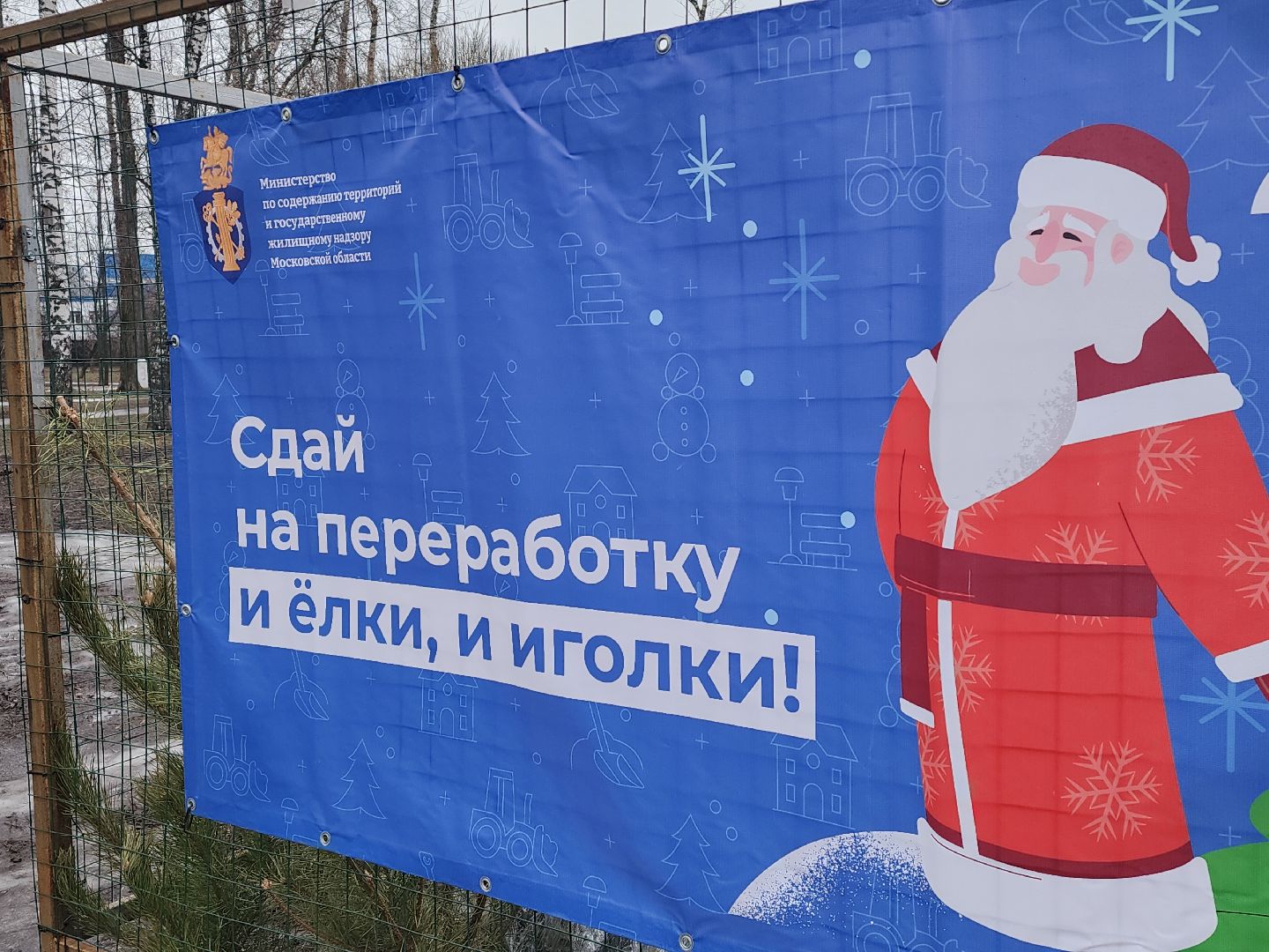 экологическая акция, утилизация елей, мытищи,