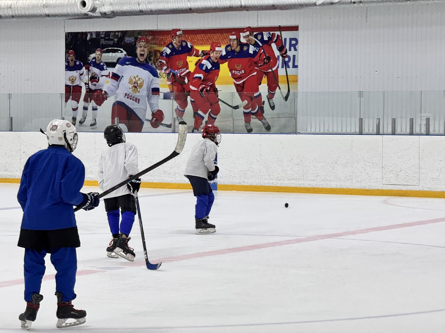 шаховская, хоккей, хоккеисты, тренер по хоккею, вертикалки,