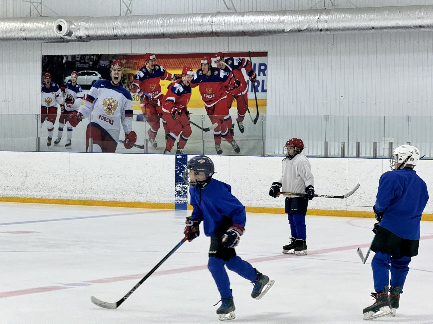 шаховская, хоккей, хоккеисты, тренер по хоккею, вертикалки,