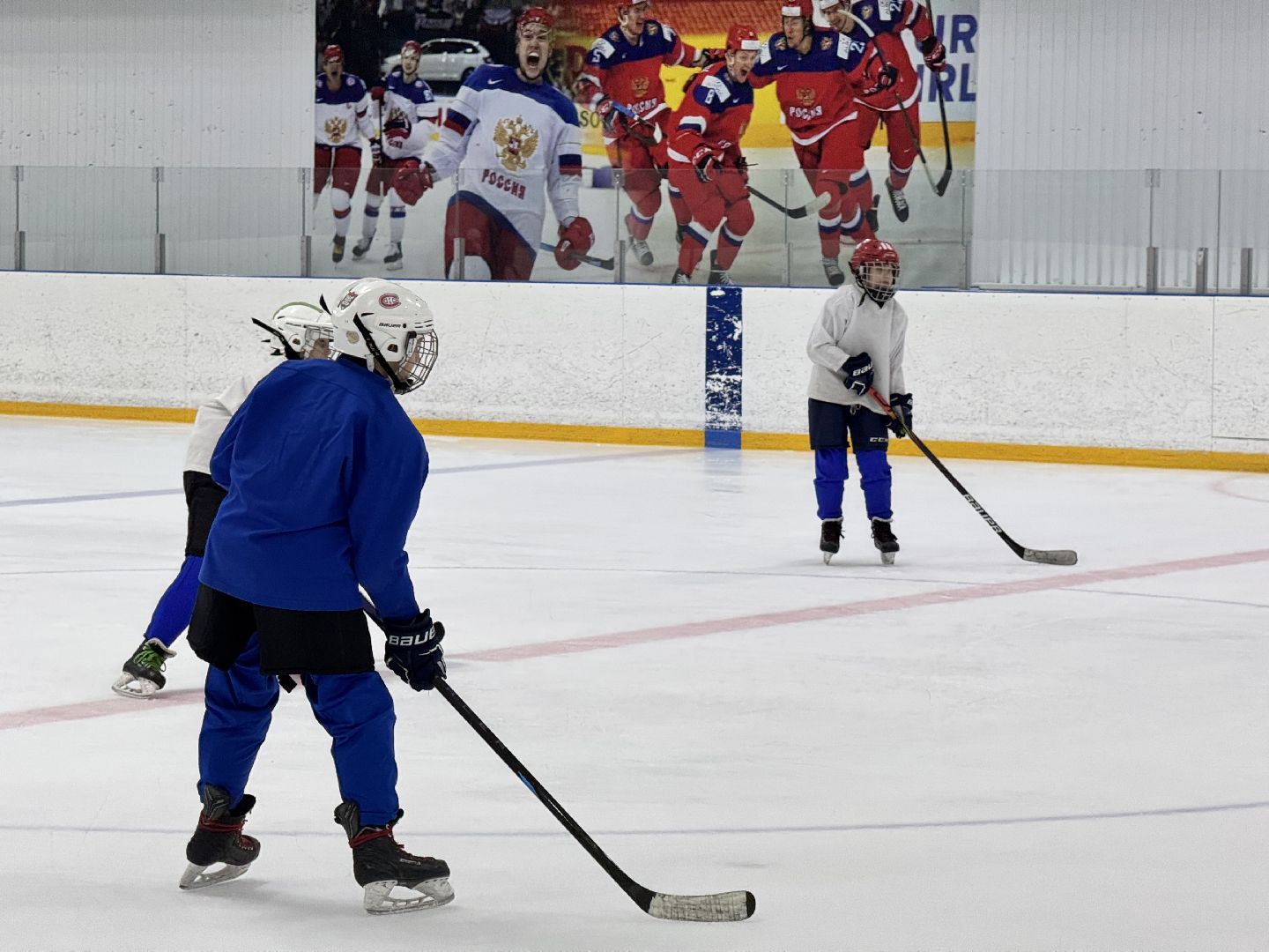 шаховская, хоккей, хоккеисты, тренер по хоккею, вертикалки,